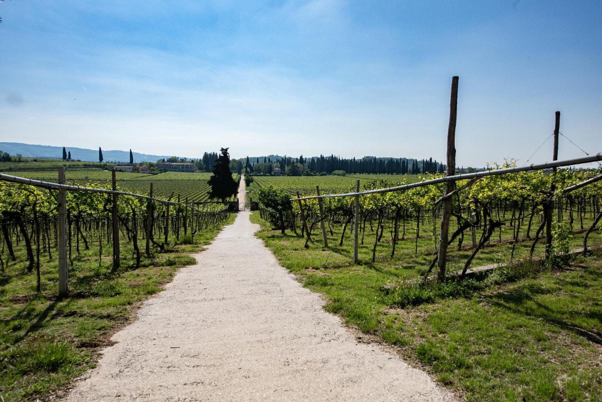 Agriturismo El Crear San Pietro in Cariano Ngoại thất bức ảnh